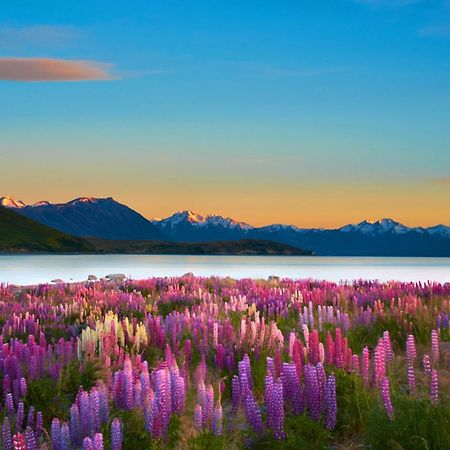 Lake Views At Antler Lodge بحيرة تيكابو المظهر الخارجي الصورة