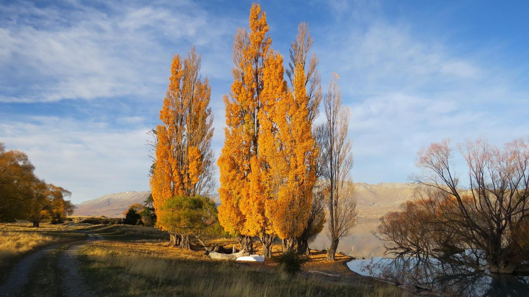 Lake Views At Antler Lodge بحيرة تيكابو المظهر الخارجي الصورة